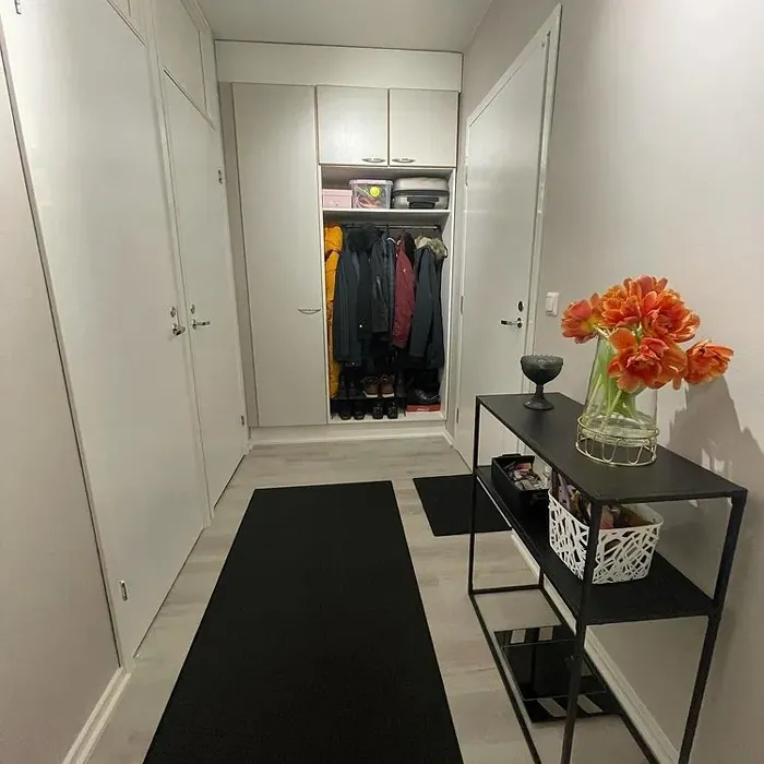 Sisämaalit Tikkurila Mirage G481