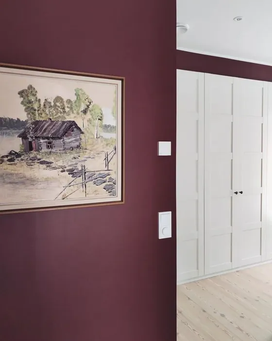 Tikkurila Morelli seinämaalaus 