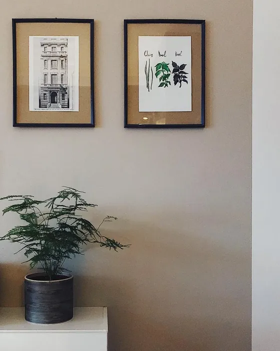 Sisämaalit Tikkurila Muskoviitti X484