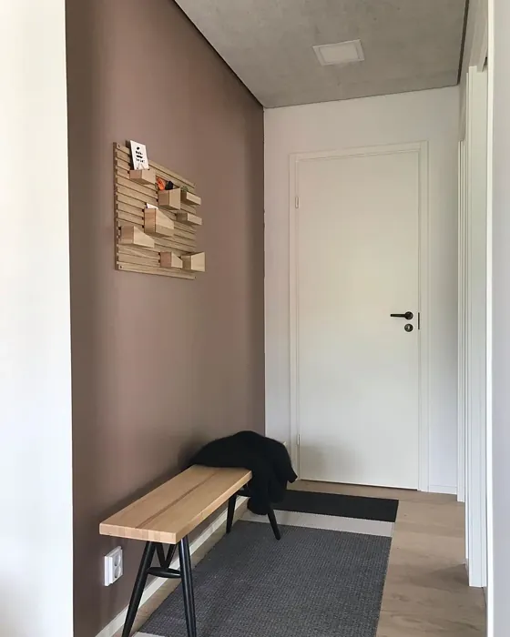 Sisämaalit Tikkurila Muuri V477