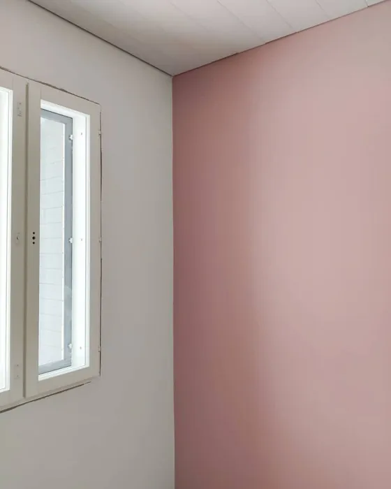 Tikkurila Näsiä korostusseinä sävy