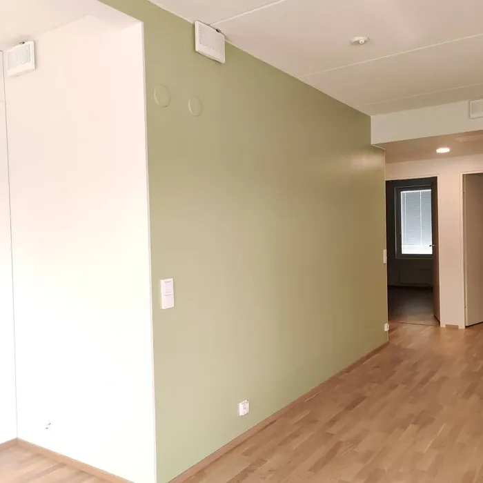 Sisämaalit Tikkurila Niili V386