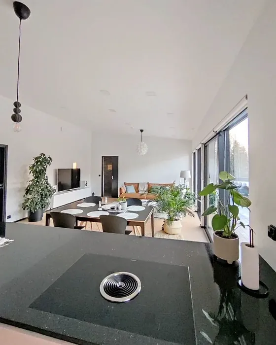 Tikkurila Paper F497 house interior wide
