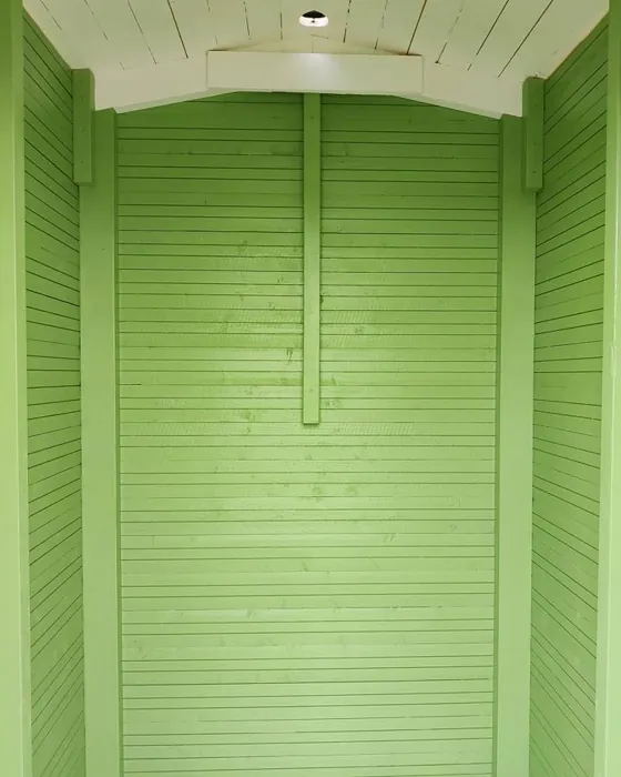 Tikkurila K384 seinämaalaus sävy