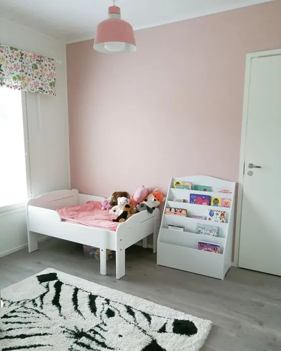 Tikkurila Paviljonki korostusseinä sävy