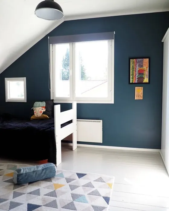 Sisämaalit Tikkurila Petrooli S491