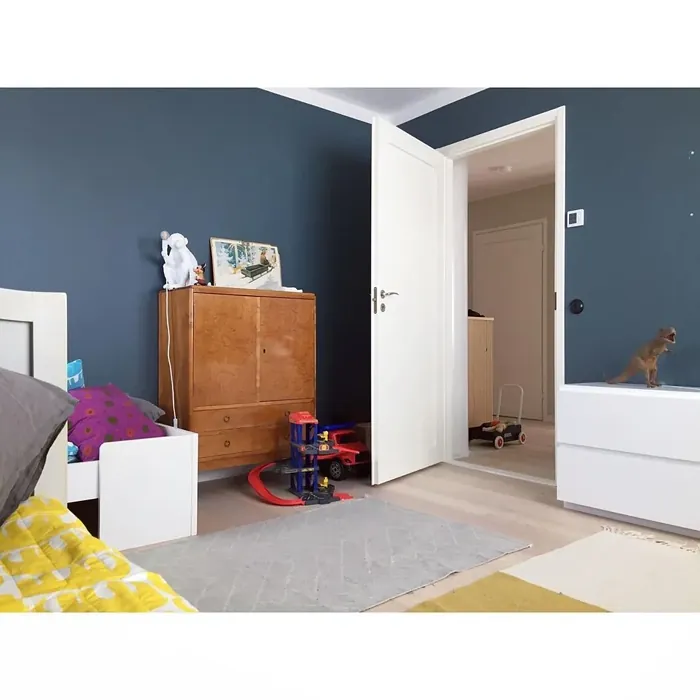 Sisämaalit Tikkurila Petrooli S491