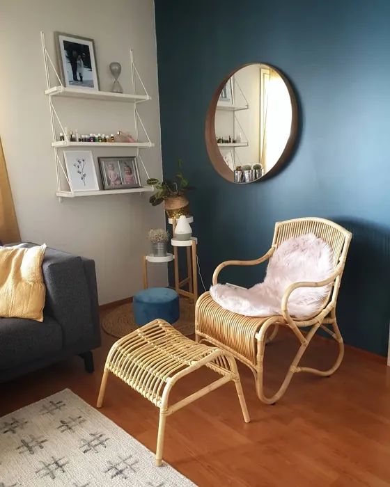 Sisämaalit Tikkurila Petrooli S491