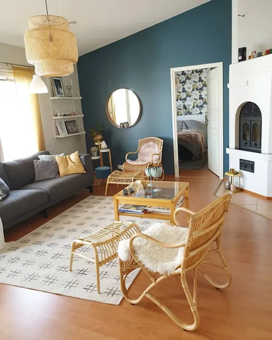 Sisämaalit Tikkurila Petrooli S491