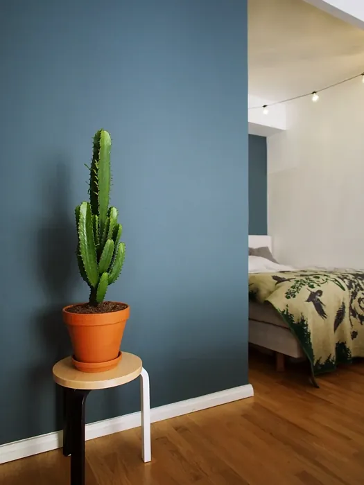 Sisämaalit Tikkurila Petrooli S491