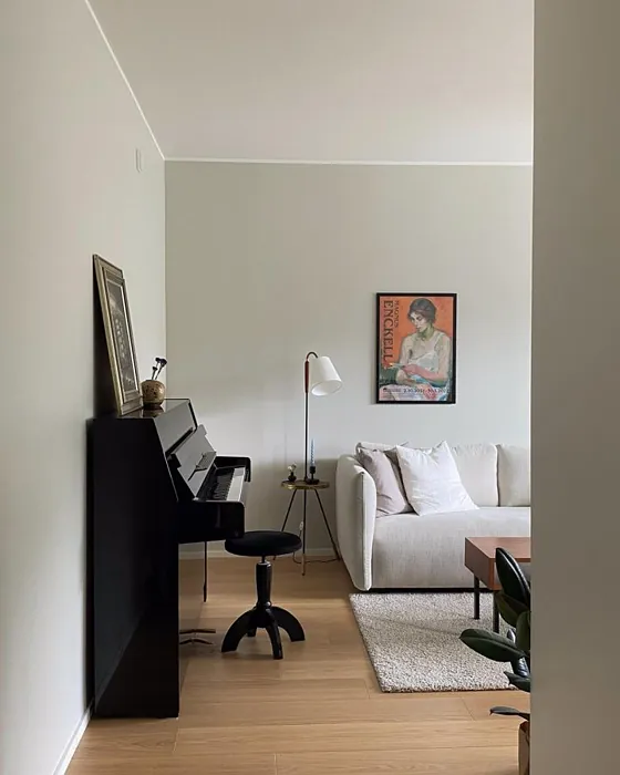 Tikkurila Y487 sävy 