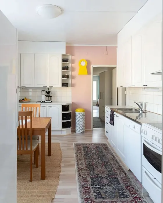 Tikkurila Posliinikukka keittiö väri