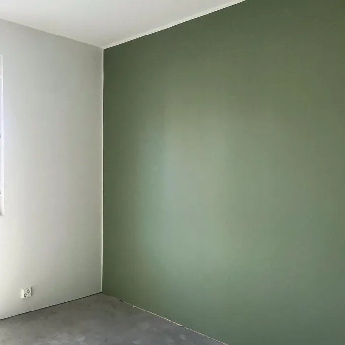 Tikkurila Poukama korostusseinä 