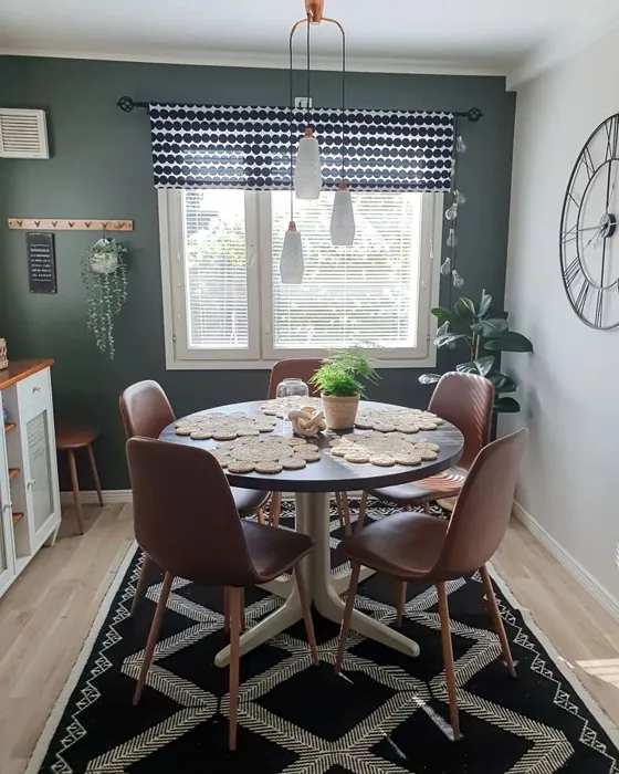 Tikkurila V495 ruokasali 