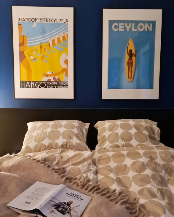 Tikkurila Riikinkukko M366 makuuhuone