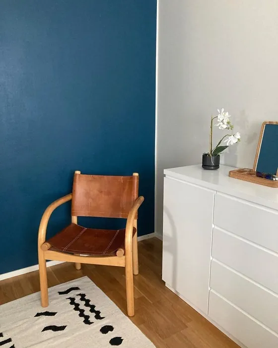 Tikkurila Royal M436 accent paint