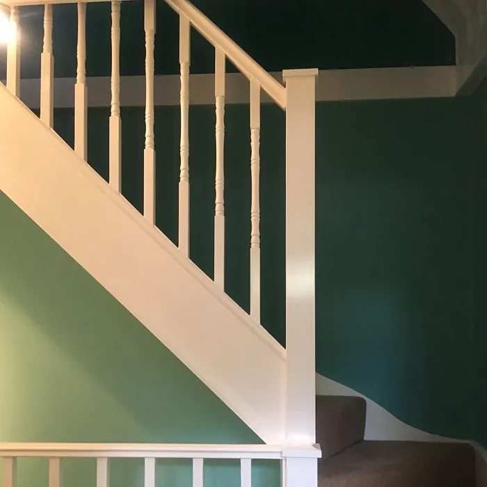 Tikkurila S379 käytävällä väri