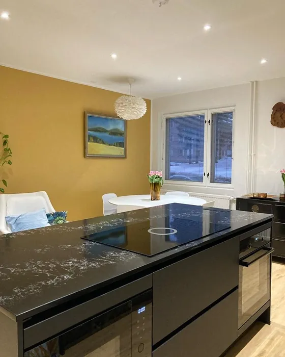 Tikkurila Safari korostusseinä 