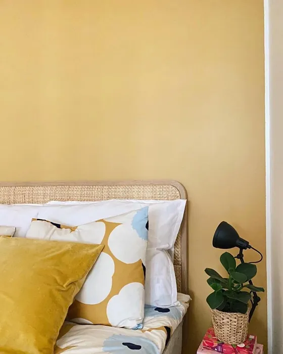 Tikkurila Safari makuuhuoneen korostusseinä kokemuksia