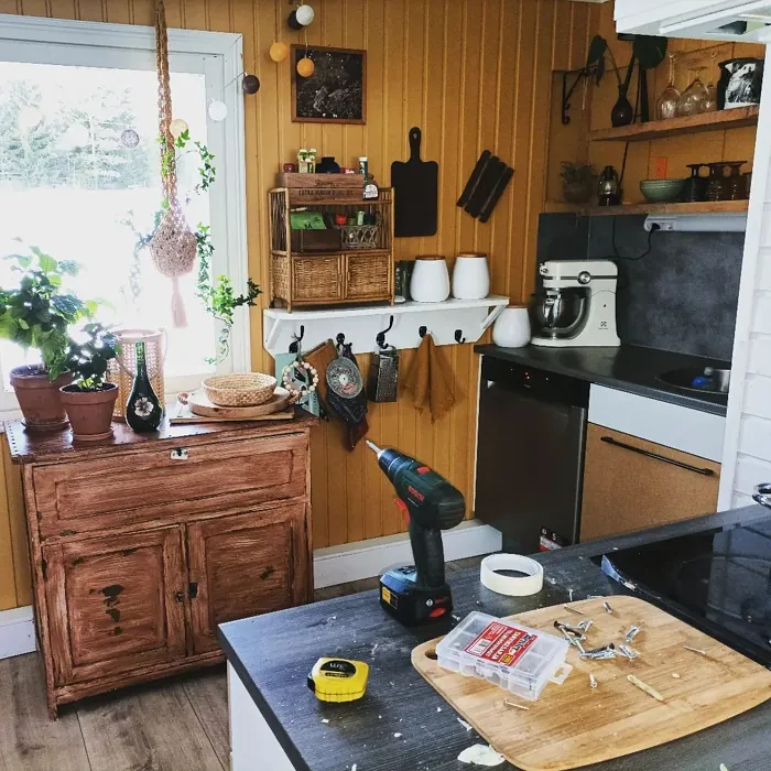 Tikkurila Safari keittiö sävy