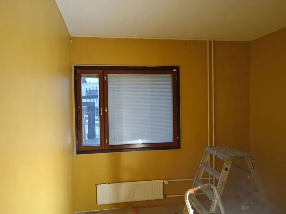 Tikkurila K396 seinämaalaus 