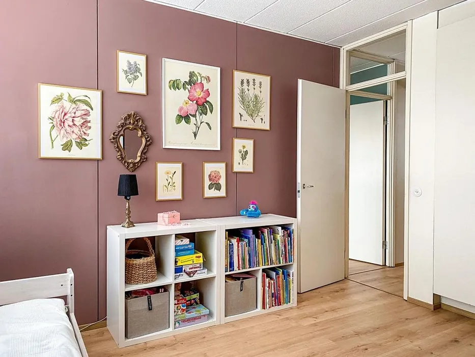 Tikkurila Salonki seinämaalaus kokemuksia