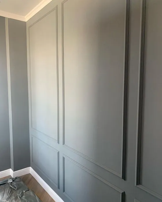 Tikkurila N497 seinämaalaus sävy