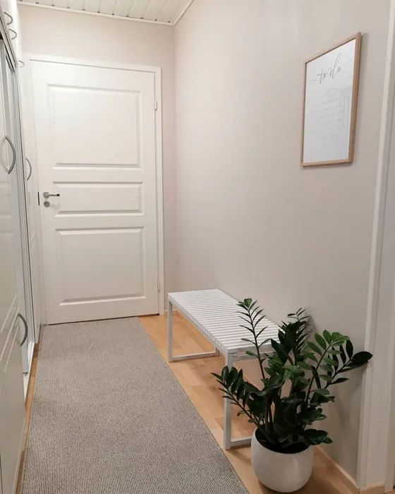 Tikkurila Shaali käytävällä 