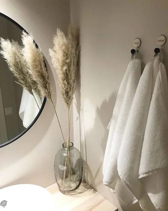 Sisämaalit Tikkurila Shaali Y467