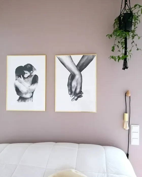 Sisämaalit Tikkurila Shantung V481