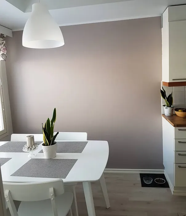 Sisämaalit Tikkurila Shantung V481