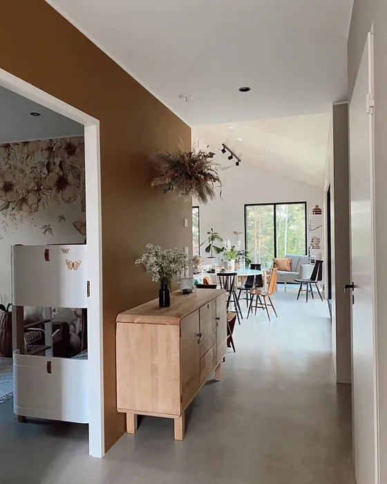 Tikkurila Siirappi korostusseinä sävy