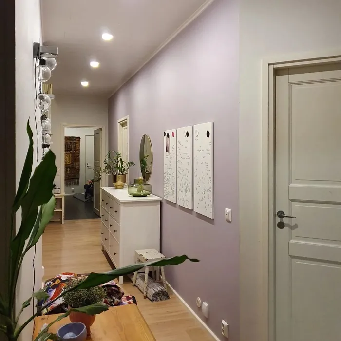 Tikkurila J426 käytävällä sävy