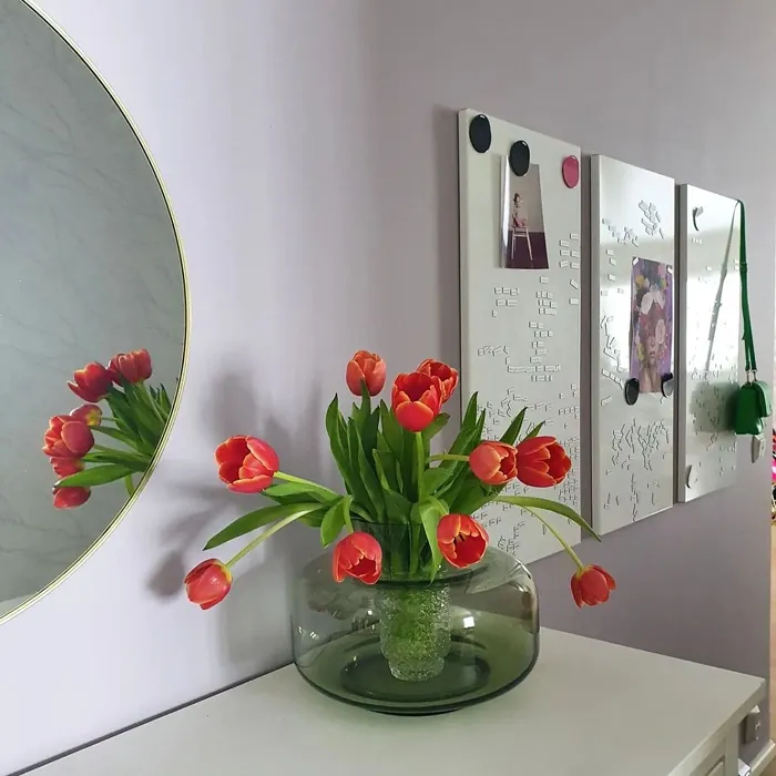 Tikkurila J426 käytävällä sisusta