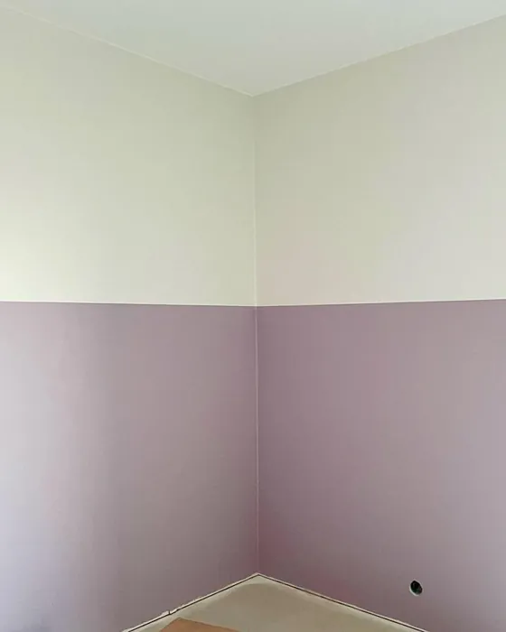 Tikkurila Syreeni color block 