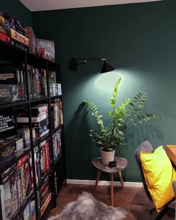Sisämaalit Tikkurila Syvänne N439