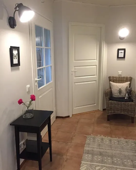 Sisämaalit Tikkurila Talkki G484