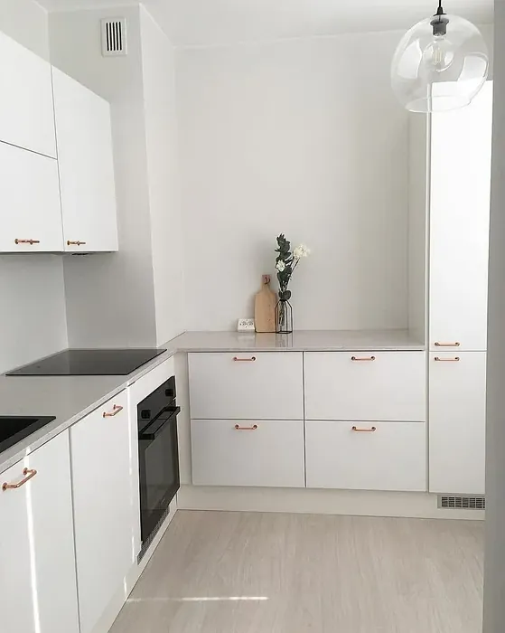 White kitchen cabinet Tikkurila V503 Winter