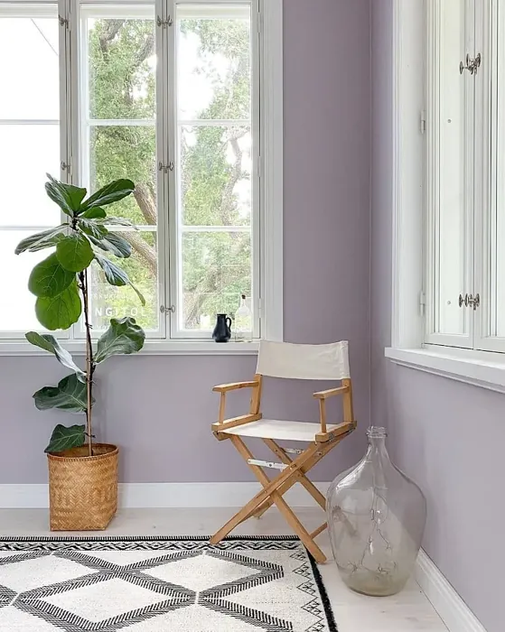 Sisämaalit Tikkurila Tenho H426