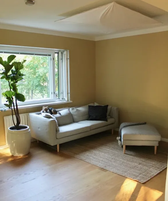 Sisämaalit Tikkurila Travertiini Y396