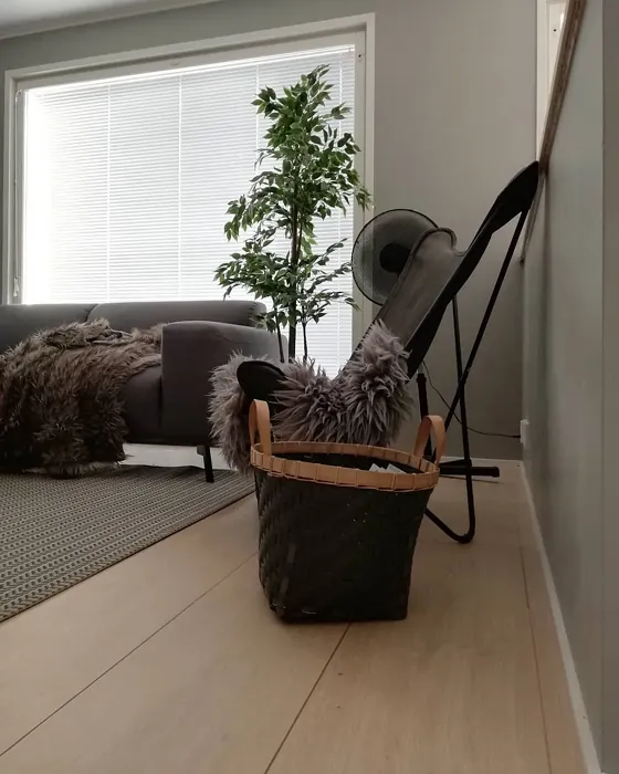 Sisämaalit Tikkurila Tuhka M497