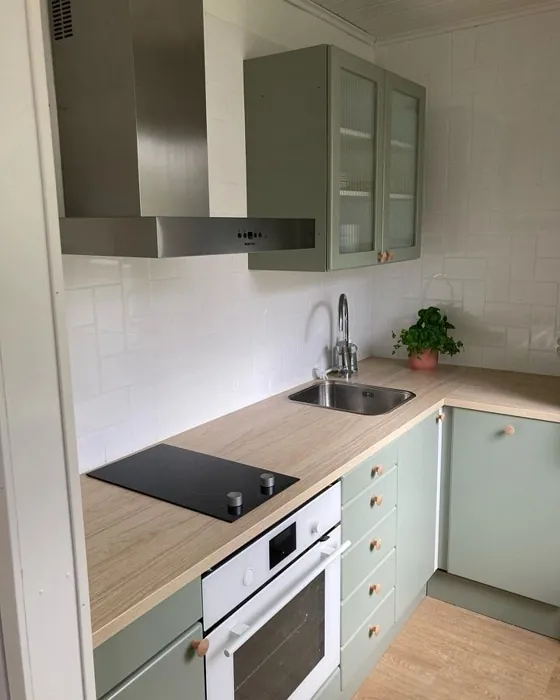 Tikkurila Arctic Willow M495 kitchen cabinets