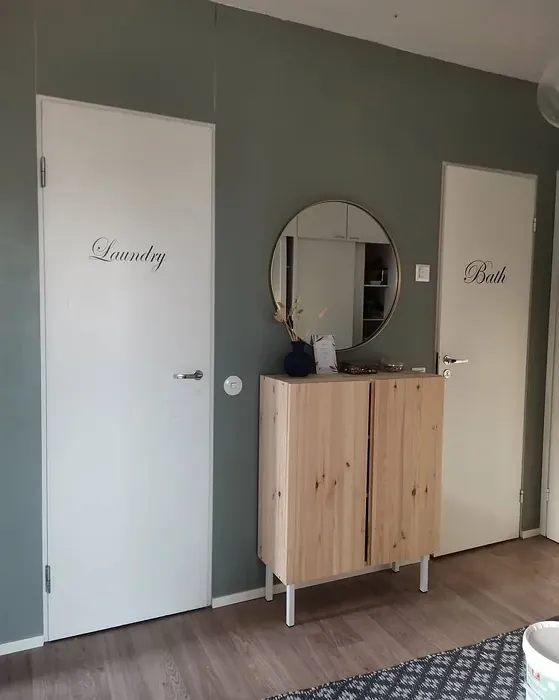 Sisämaalit Tikkurila Tunturipaju M495