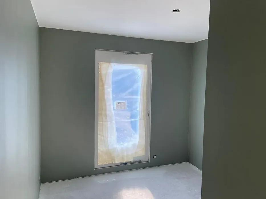 Sisämaalit Tikkurila Tunturipaju M495