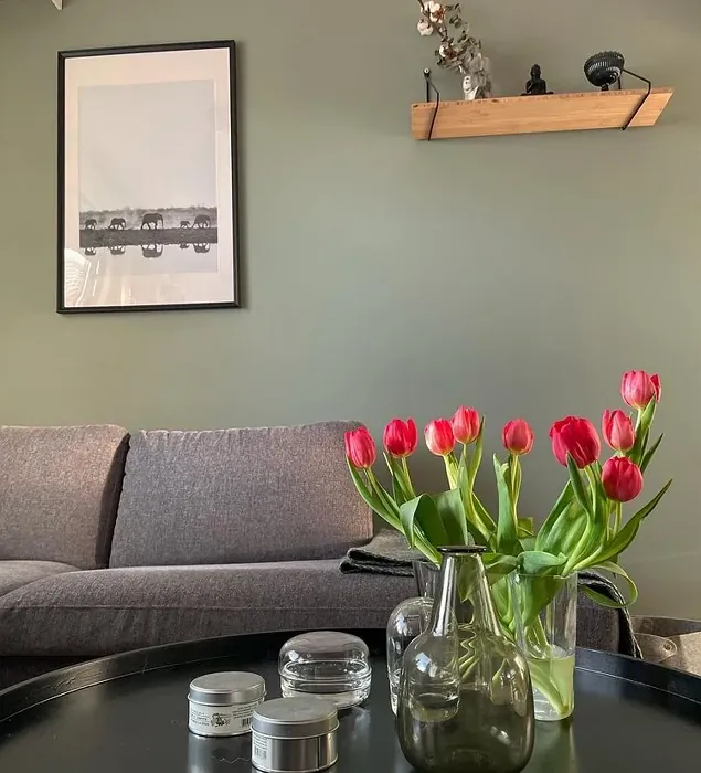 Sisämaalit Tikkurila Tunturipaju M495