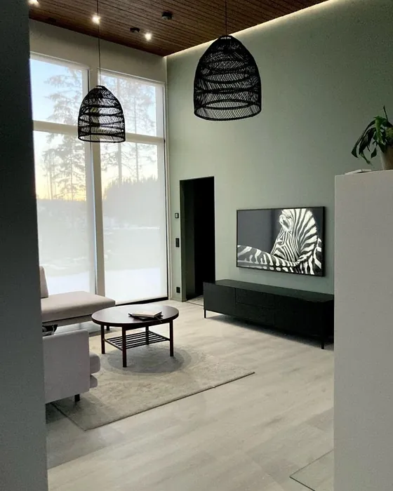 Tikkurila Arctic Willow M495 accent wall