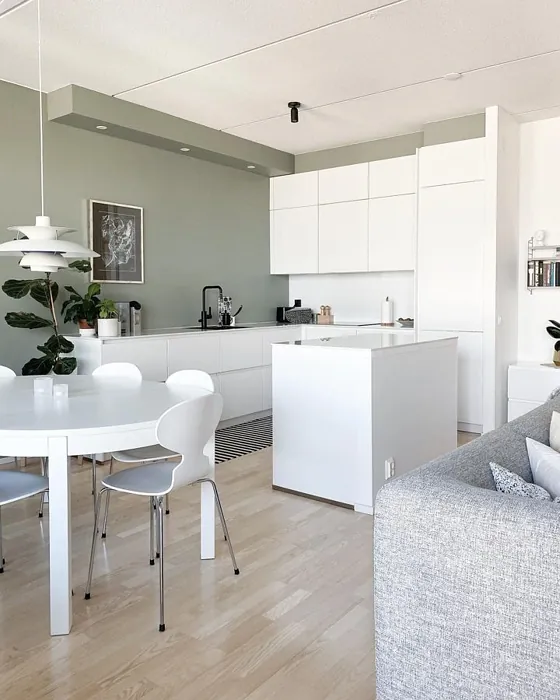 Tikkurila Arctic Willow M495 kitchen