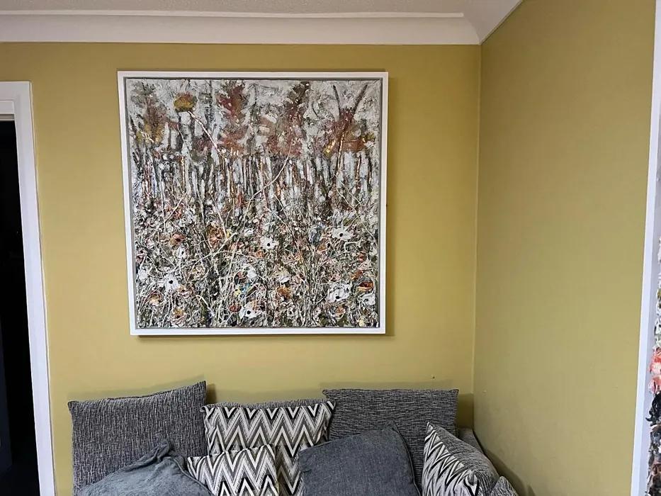 Tikkurila Tuohus J392 olohuone