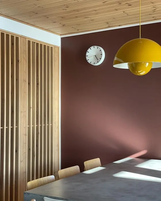 Tikkurila Tuulihaukka korostusseinä kuva