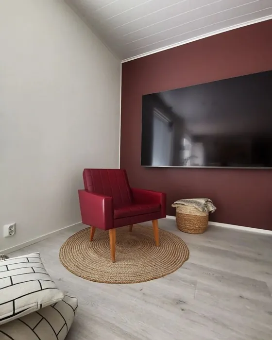 Tikkurila Tuulihaukka korostusseinä sävy